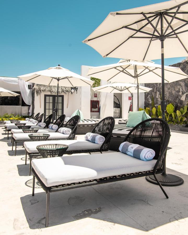 The Xperience By G - Adults Only Hotell Mazatlán Eksteriør bilde